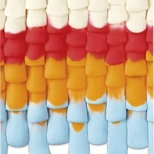 Play-Doh Çılgın Tavuk