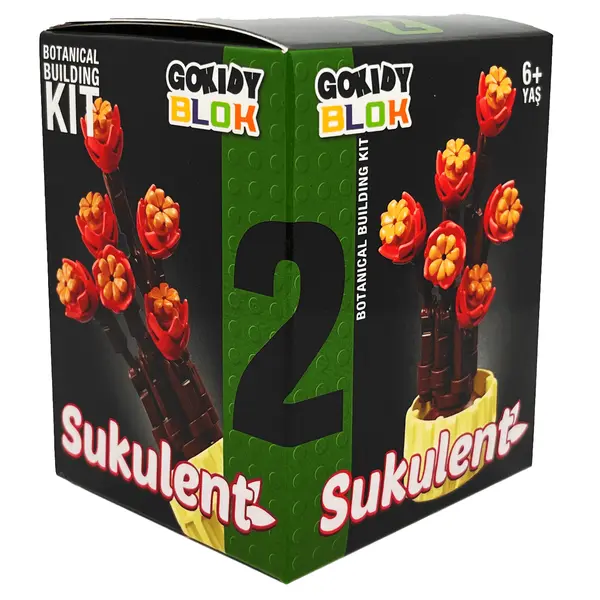Blok Kaktüs 66 Parça