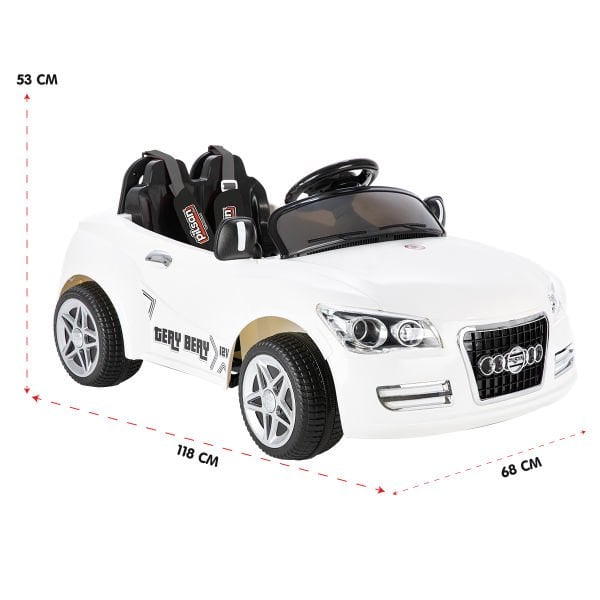 Tery Bery 12V Uzaktan Kumandalı Araba