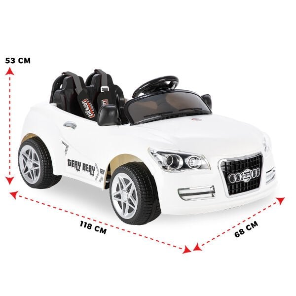 Tery Bery 12V Uzaktan Kumandalı Araba